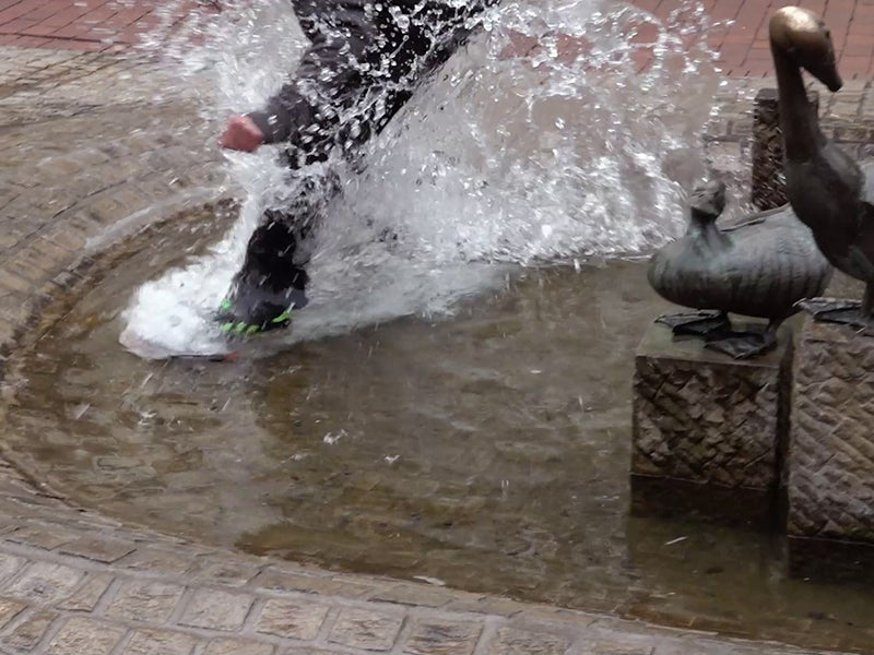 "Robert and the Animals"