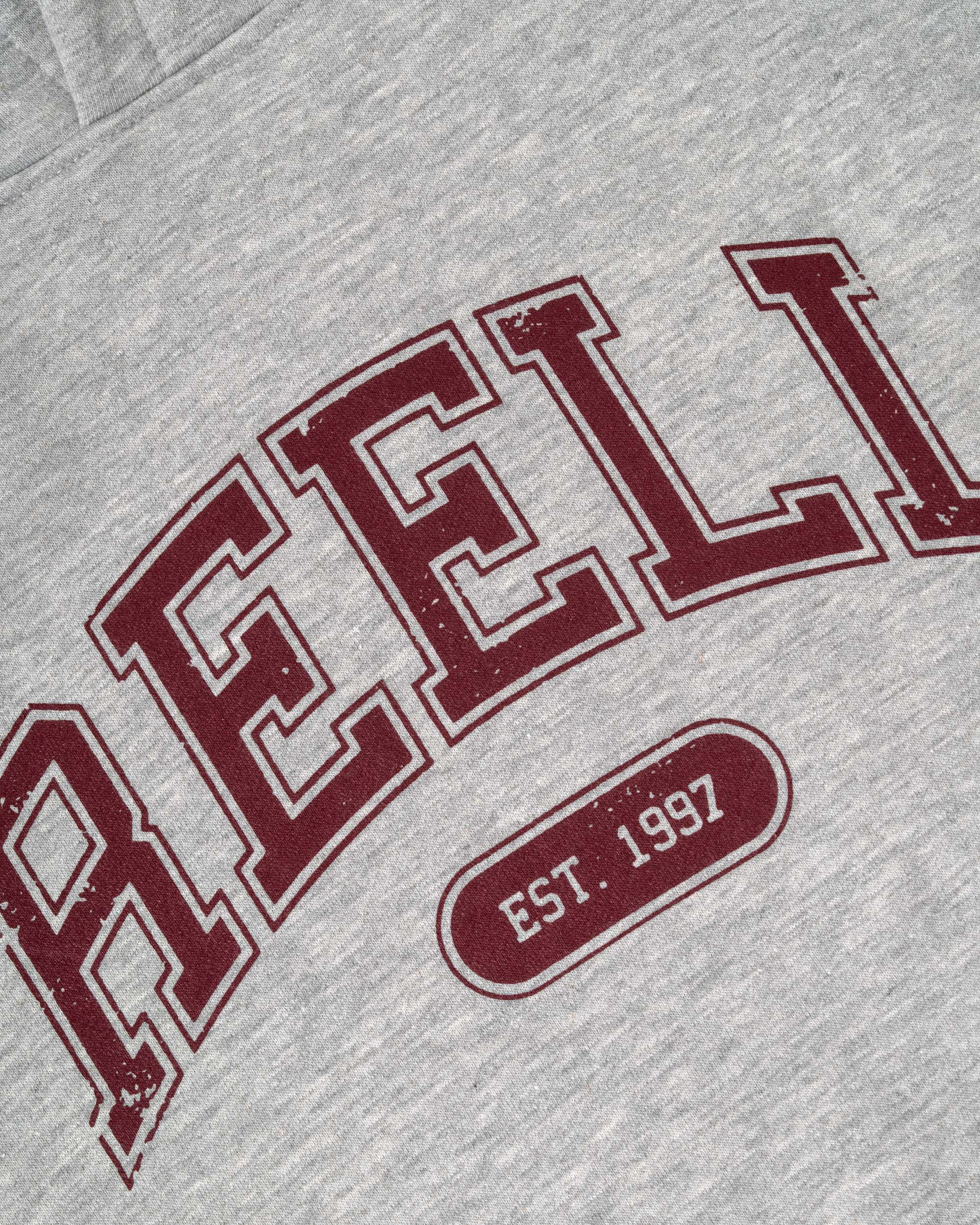 Team Hoodie Grey Melange