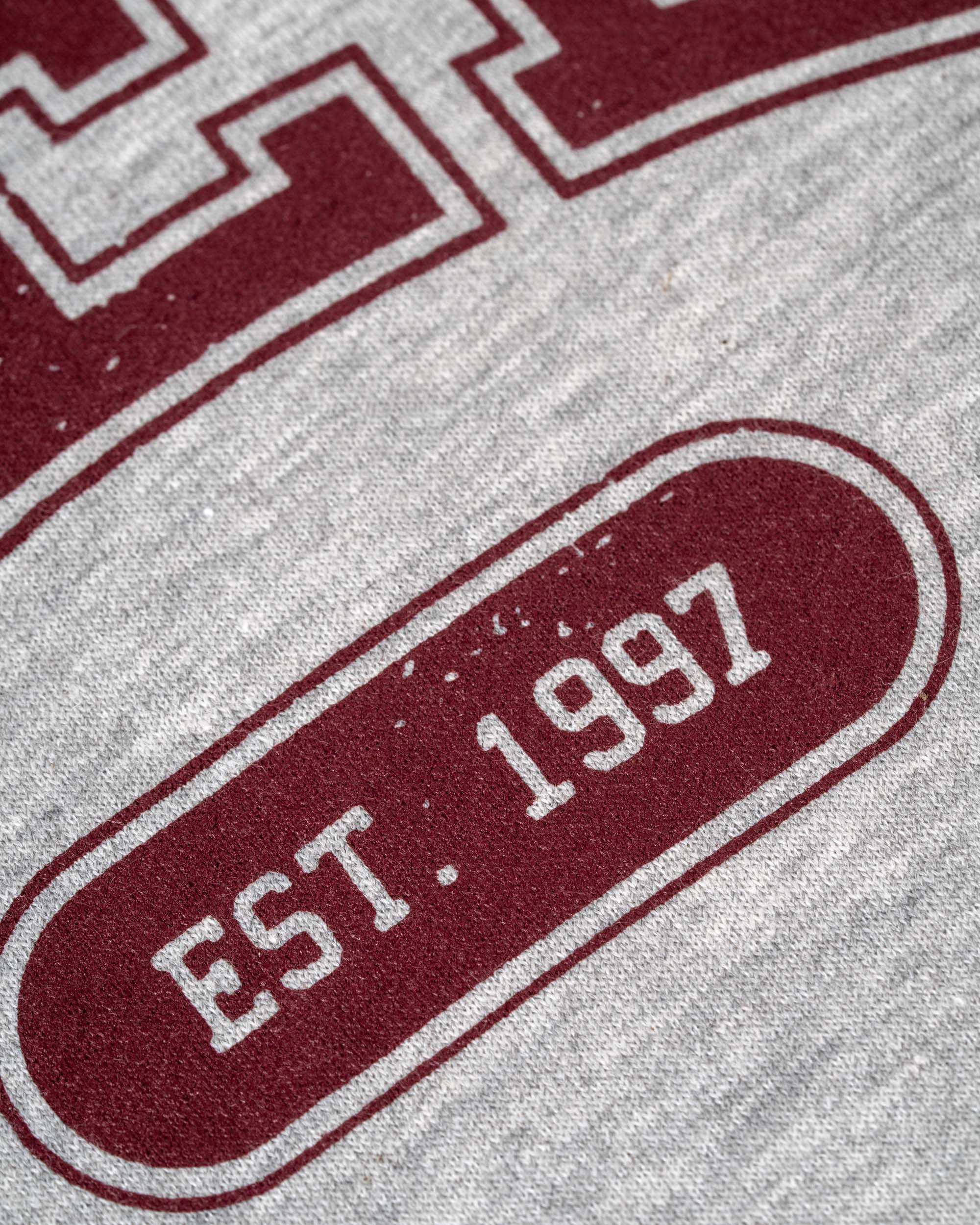 Team Hoodie Grey Melange